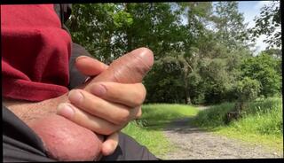 Video 1611378043: big dick solo jerk, big cock solo jerk, solo amateur jerking, amateur solo handjob, amateur public nudity, caught jerking, solo male jerking, caught park, flashing public nudity, public nudity outdoor, caught german