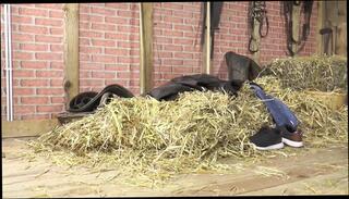 Video 1664355871: manu magnum, compilation big tits milf, sexy milf compilation, milf cum compilation, milf cumshot compilation, milf anal compilation, milf blowjob compilation, compilation milf hd, busty slut deep throats, compilation cumshot big ass, big cock anal compilation, big ass milf pussy, tit milf loves anal, sexy nude milf, straight cum compilation, big round ass milf, cocked muscular stud, studs hard cock, studs fat cock, wet big ass milf, big tit milf eats, skinny big tits, mouth cum compilation, naked stud, skinny whore, muscular tattooed stud, gagging, raw ass pounding, dripping drooling