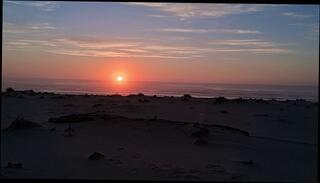 Video 1662649923: solo gay uncut cock, hairy uncut daddy, hairy uncut big dick, uncut solo male, hairy amateur gay, uncut public, sexy beach