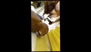 Video 1658758473: big dick solo male, amateur solo male, italian solo, clothed amateur