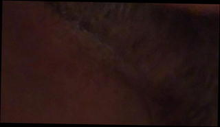 Video 1517462801: pussy ass booty, ass booty girl, booty ass hole, booty masturbates, booty straight, booty play, ass hole tickle