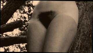 Video 1376300335: vintage hairy pussy, retro hairy pussy, natural tits hairy pussy, vintage nude