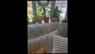 Video 1658193123: milf amateur couple, amateur milf big cock, amateur big ass milf, big ass milf sex, big ass mature milfs, milf rough sex, milf big dick