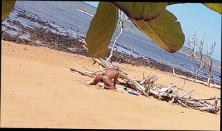 Video 1665562781: crossdresser sissy anal solo, crossdresser femboy sissy, twink femboy crossdresser, bubble butt sissy femboy, sissy femboy fucks ass, ass femboy sissy gay, big ass femboy sissy, sissy femboy amateur, sissy crossdresser cock, dick sissy crossdresser, nudist gay twink, sissy femboy lingerie, mature crossdressers sissys, twinks nude gay sex, twinks outdoor gay sex, nudist beach sex, crossdresser public fuck, twink sex hd