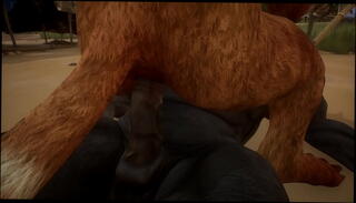 Video 1430219615: gay furry cum, gay furry anal, gay furry sex, gay furry blowjob, wild anal sex, cum filled