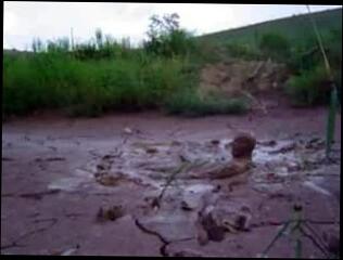 Video 307331501: amateur gay, playing erotic, strip