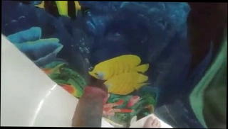 Video 1573255161: gay cum showers, gay man cum