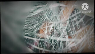 Video 1662690101: brother step sister sex, brother stepsister sex, sister step brother desi, indian brother step sister, indian girl stepsister, stepsister blowjob, babe step sister, straight step brother, stepsisters boy, old indian step sister, 18 year old stepsister, black step brother, stepsister stories, stepsister hd, blowjob hand job