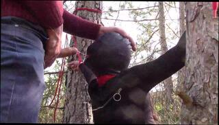 Video 1567620374: bdsm deep throat, bound amateur, bdsm blowjob, masked bound, public bdsm outdoor, dress bound, bound black, bdsm brunette, cock sucking, amateur high heels, sexy tied