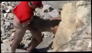 Video 1103758604: hidden cam beach, wives girl friends, beach whores, russian hidden cam
