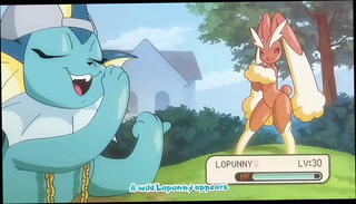 Video 1656501945: pokemon furry