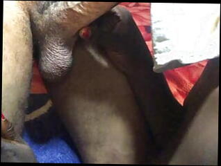 Video 1619812681: worships sucks cock, worships cock blowjob, amateur cock worship, worships big black dick, worships big white cock, couple worship, worship handjob, worshipping babe, worshiping straight, worship hd, homemade blowjob cock sucking, african amateur cock sucking, mask suck dick, bitch sucks black, sucking very big cock, black ghetto bitch