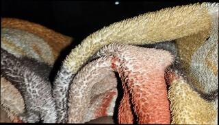 Video 1656544041: sister ass, sexy tits big nipples, homemade big tits sex, sex indian homemade desi, homemade sex 18 years, homemade hindi sex, nipples big natural tits, homemade hd sex, homemade straight, homemade 18 year old, homemade high heels, korean homemade