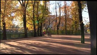 Video 37288404: oral vaginal sex, couple oral sex, oral sex orgasm, deep vaginal sex, amateur