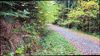 Video 1657925751: gay masturbation cumshot, amateur cumshot masturbation, masturbation cumshot outdoor, masturbation cumshot close, cumshot sperm, german amateur cumshot, amateur white gay, european amateur masturbates, cum outdoors, cumshot hd