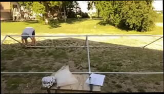 Video 1655987335: erect, sex