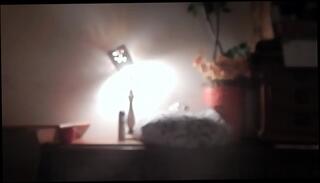 Video 589168265: solo piss masturbation, solo boy masturbation, piss cream, piss party, piss time