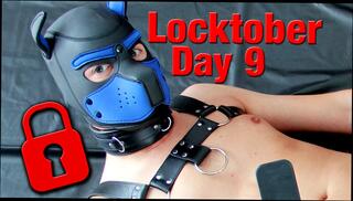 Video 1654595611: bdsm slave punishment, punishment bdsm bondage, bdsm fetish slave, solo bdsm fetish, bdsm bondage gay boy, bondage nipples clamped, caged sex slave, spanking bdsm bondage, gay bdsm slave training, fetish homosexual solo, homemade bdsm bondage, solo gay uncut, bdsm sub punished, bdsm fetish plays, german bdsm slave, clamped nipples toyed, horny solo boy, slapping nipple, masked sex slave, men solo boys, solo horny man, leather sex fetish, punishment hd, horny puppy