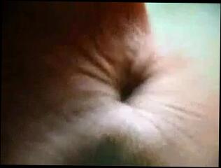 Video 208391901: mature amateur ass, mature straight amateur