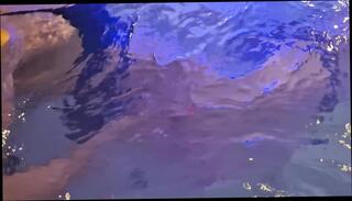 Video 1654248351: solo bikini masturbate, solo girl masturbating pussy, homemade solo pussy masturbation, amateur homemade solo masturbation, puffy nipple girl, puffy nipples sex, hot bikini couple sex, solo masturbating straight, european solo pussy, girl solo hd, underwater bikini, bikini pool, shorts bikini