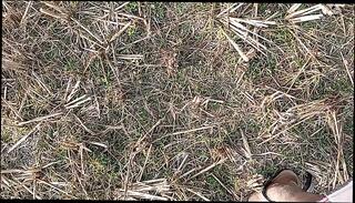 Video 1664498001: feet solo, gay boy feet, gay homemade solo, desi boy solo, indian boy solo, feet outdoors, feet hd