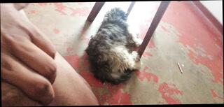 Video 1664964381: desi stepmom stepson fucking, indian stepmom stepson sex, stepmom fucks stepsons friend, hot stepmom fucks stepson, sexy stepmom stepson, stepson fucks stepsister, aunty indian desi stepsister, stepmom eating stepson, stepmom takes stepson, indian couple sex aunty, desi aunty fuck boy, desi aunty homemade sex, aunty pussy fucking desi, mom stepson sex, stepsons dick fuck, aunty fucking step son, stepsister fucking alone, mom stepmom mother, stepsister first time sex, aunty sex home, baby stepsister, stepson's teacher, stepsister missionary, aunty sex hd, straight stepson, indian desi hottest aunty, stepson dressed, english teacher fucks, boy long dick, pecker fucking