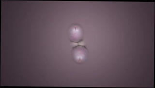 Video 266393601: fingering, two penises, man gay