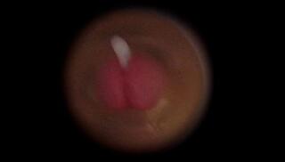 Video 1663778263: solo male fleshlight fuck, fleshlight fuck cumshot, fleshlight fuck orgasm, fucking fleshlight toy, fleshlight fuck cum, solo amateur cum, webcam solo cum, cam cumshot, nice cumshot