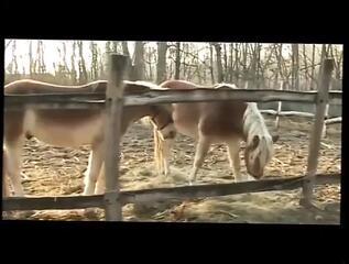 Video 1655325881: chloe delaure, roberto malone, interracial anal threesome, interracial anal orgasm, pussy anal threesome, pornstar threesome, straight threesome, african threesome, taboo threesome, italian threesome, anal masters, porn master