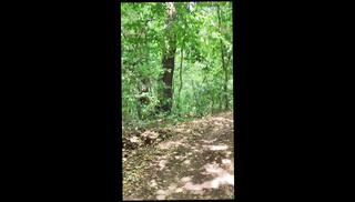 Video 1659258561: grandpa cum compilation, big cock bareback compilation, grandpa solo masturbation, solo orgasm compilation, gay bareback compilation, bareback fucking compilation, amateur bareback compilation, barebacking guys compilation, solo boy masturbating cum, amateur cum swallow compilation, gay sex bareback boy, amateur homemade solo masturbation, straight boy fucked bareback, jerk cum compilation, rough gay bareback sex, grandpa close cum, older cocks compilation, outdoor cum compilation, grandpas public sex, man grandpa fucks, cum compilation hd, compilation big natural, park bareback, jerking huge cock