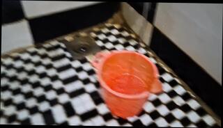 Video 1658342411: indian bbw aunty sex, bbw aunty fucking, bbw hot aunty, indian couple sex aunty, indian aunty homemade sex, aunty blowjob fucking, bbw loves fucking, african aunty sex, black aunty sex, aunty women, indian aunty bathing, indian aunty shower, older bbw, aunty hd, straight couple fucks, fuck old woman, bitches love, fucking delicious, cock