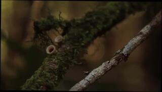 Video 1584396133: milf interracial hardcore, amateur milf interracial, milf amateur fetish, milf stud, hardcore interracial babe, milf babe playing, gorgeous studs, camera studs