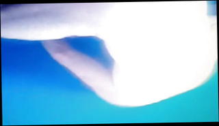 Video 1565166801: amature homemade, amateur homemade, homemade straight, turkish homemade