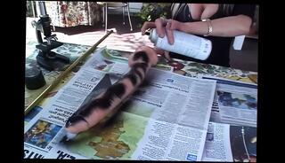 Video 1658549191: milf mature cougar stepmom, milf stepmom banged, bbc interracial banging, interracial bbc fucking sucking, milf stepmom sucks cock, blonde milf stepmom fucked, milf cougar mature mom, milf stepmom blows, milf stepmom sex, milf stepmom blowjob, milf cunnilingus, stepmom throat fuck, stepmom fucking naked, bbc cock sucker, stepmom mouth fucked, cougar mommy, mom stepmom mother, nude cougar, milf fucked hd, bang straight, stepmom undressing, bare banging, coitus