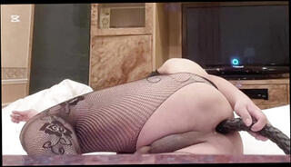 Video 1624281541: pierced shemale, fishnet shemale