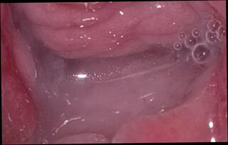 Video 1665144881: creampie solo, creampie cum inside pussy, amateur pussy creampie, amateur couple creampie, indian pussy solo, pussy creampie close, ejaculation creampie, snatch creampied, vagina creampie, twat creampied, creampie sperm, cunt creampied, creampie straight, creampie 18 year, older creampie, creampie fantasies, solo cream, creampie hd, cum inside first time, indian desi pussy