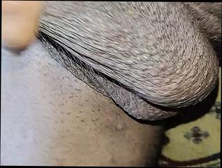Video 1624664391: gay handjob porn, gay porn old young, gay porn arab, indian gay handjob, indian gay pornstar, handjob close