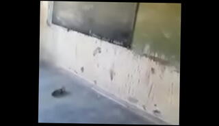 Video 1085701565: horny student, african students