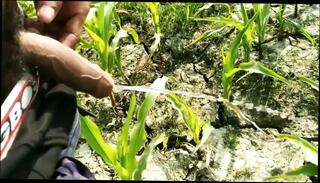 Video 1663417591: solo piss, piss gay cock, horny amateur solo, cock pissing outdoors, indian gay pissing, gay men pissing, big cock pissing, indian desi solo, pissing hd