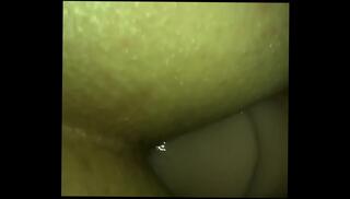 Video 1042783225: anal toyed shemale, toy anal lingerie