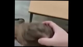 Video 1206514365: sex sucking boobs, sex sucks cum, cum sucking blowjob, sucking teachers, sucking mouth cum