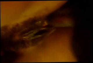 Video 880549204: dark meat bitches