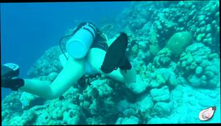 Video 1657920291: solo milf fingering, solo fingering pussy masturbating, milf solo orgasm masturbation, girl masturbating solo fingering, amateur milf solo masturbation, milf fingers masturbate pink, milf caught masturbating, fingering mistresses pussy, fetish solo masturbation, nude milf solo, milf solo naked, solo fingering sex, milf cumming solo, american milf solo, fingering solo outdoor, solo female fingering, milf fingers big, milf solo hd, woman caught masturbating, solo clit masturbation, pussy clitoris fingerings, close solo amateur girl, solo masturbating straight, beach masturbation caught, fingering big lips pussy, underwater fetish, muscular milf, big clit play, one masturbating, best masturbation