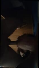 Video 1624127131: megan monroe, milf pov deep throat, ass milf facesitting, homemade pov milf, milf pov pussy, pov bisexual, softcore pov, milf pov hd, milf licking ass pussy, facesitting pussy eating, pussy american milf, straight bisexual