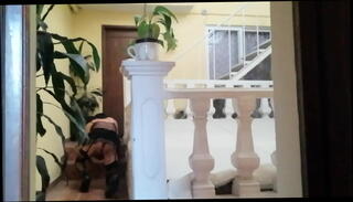 Video 1598491565: closeup anal dildo, hardcore sex toy dildo, anal dildo toy lingerie, anal dildo cam, anal dildo lingerie outdoor, rough anal dildo, public anal dildo