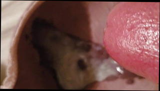 Video 1571192081: gay cum load, gay cum filled, big cum gay, nice big cum load