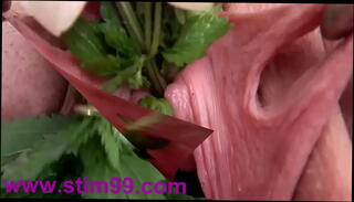 Video 78665665: pee fisting, pee hole fuck, woman pee, pee pussy, japanese pee, self pee, asian pee, fisting cunts, urethral insertion, string fuck