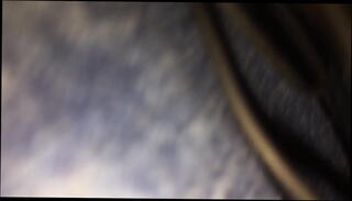 Video 1654472015: girl friend bj, girl friend blowjob, girl rain