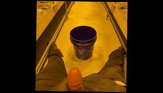 Video 1657182443: fetish pov joi, dick solo cumshots compilation, compilation solo male masturbating, solo male cum compilation, pov amateur solo male, pov joi big, caught compilation, caught masturbation public