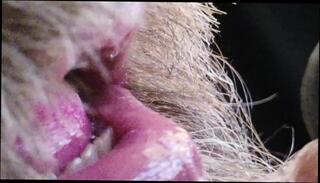 Video 1665988901: solo uncut cock masturbating, solo gay uncut cock, uncut cock milking, hairy big uncut cock, hairy solo cum, hairy thick uncut, hairy uncut bear, hairy men solo, hairy man solo, uncut cock gay sex, solo masturbation sex toys, uncut cock precum dripping, milking cock orgasm, amateur cock milking, uncut dads, solo masturbation hd, canadian cock, fuck spit, mouth fuck, kissing